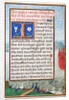 Border with the Creation of Birds and Fishes by Simon Bening