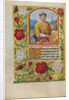 Saint Stephen by Workshop of Master of the First Prayer Book of Maximilian