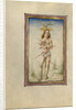 The Martyrdom of Saint Sebastian by Taddeo Crivelli