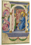 Saint Gregory by Taddeo Crivelli