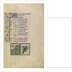 A Man Mowing, Zodiacal Sign of Cancer by Workshop of Willem Vrelant