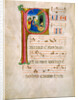 Initial P: The Adoration of the Christ Child and The Annunciation to the Shepherds by Anonymous