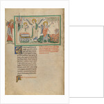 The Harvest of Grapes by Anonymous