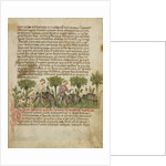 Aimo and Vermondo Killing Two Wild Boars by Anovelo da Imbonate