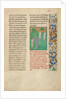 Two Kings of Ireland by Simon Marmion