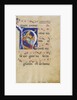 Initial H: The Nativity by Master of Gerona