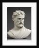 Bust of a Man by Girolamo della Robbia