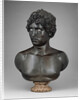 Bust of a Young Man by Antico