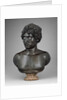 Bust of a Young Man by Antico