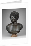 Bust of a Young Man by Antico