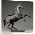 Rearing Horse by Adriaen de Vries