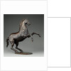 Rearing Horse by Adriaen de Vries