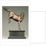 Kicking Horse by Caspar Gras