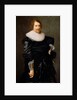 Portrait of a Man by Nicolaes Eliasz. Pickenoy
