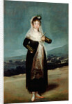 Portrait of the Marquesa de Santiago by Francisco José de Goya y Lucientes