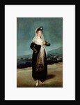 Portrait of the Marquesa de Santiago by Francisco José de Goya y Lucientes