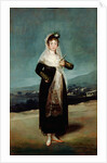 Portrait of the Marquesa de Santiago by Francisco José de Goya y Lucientes