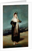 Portrait of the Marquesa de Santiago by Francisco José de Goya y Lucientes