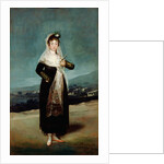 Portrait of the Marquesa de Santiago by Francisco José de Goya y Lucientes
