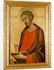 St. Luke by Simone Martini