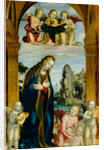 Madonna Adoring the Child with Musical Angels by Bernardino Zenale