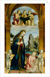 Madonna Adoring the Child with Musical Angels by Bernardino Zenale