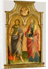Saints John the Baptist and John the Evangelist by Mariotto di Nardo