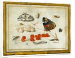 Butterfly, Caterpillar, Moth, Insects, and Currants by Jan van Kessel II