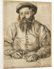 Portrait of a Bearded Man by Tobias Stimmer