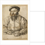 Portrait of a Bearded Man by Tobias Stimmer