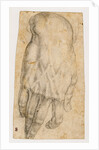 Study of a man's right hand (recto), Studies of four heads and of a nude figure seen from the rear (verso) by Agnolo Bronzino