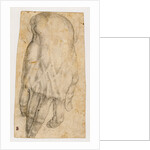 Study of a man's right hand (recto), Studies of four heads and of a nude figure seen from the rear (verso) by Agnolo Bronzino
