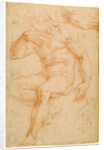 Studies of a Male Nude, a Drapery, and a Hand by Giorgio Vasari