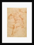 Studies of a Male Nude, a Drapery, and a Hand by Giorgio Vasari