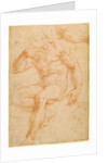 Studies of a Male Nude, a Drapery, and a Hand by Giorgio Vasari