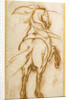Study of a Rearing Horse by Jacques Callot