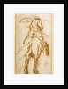 Study of a Rearing Horse by Jacques Callot