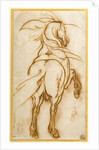 Study of a Rearing Horse by Jacques Callot
