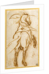 Study of a Rearing Horse by Jacques Callot