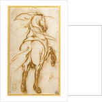 Study of a Rearing Horse by Jacques Callot