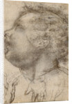 Head of a Child, an Angel and a Hand (recto), Male Figure (verso) by Fra Bartolommeo