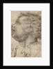 Head of a Child, an Angel and a Hand (recto), Male Figure (verso) by Fra Bartolommeo