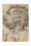 Head of a Child, an Angel and a Hand (recto), Male Figure (verso) by Fra Bartolommeo