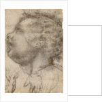 Head of a Child, an Angel and a Hand (recto), Male Figure (verso) by Fra Bartolommeo