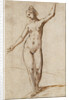 Female Nude by Karel van Mander