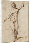 Female Nude by Karel van Mander
