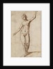 Female Nude by Karel van Mander