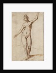 Female Nude by Karel van Mander