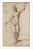 Female Nude by Karel van Mander