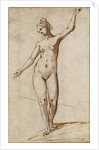 Female Nude by Karel van Mander